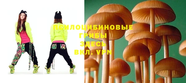 PSILOCYBIN Пересвет