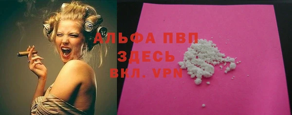 PSILOCYBIN Пересвет
